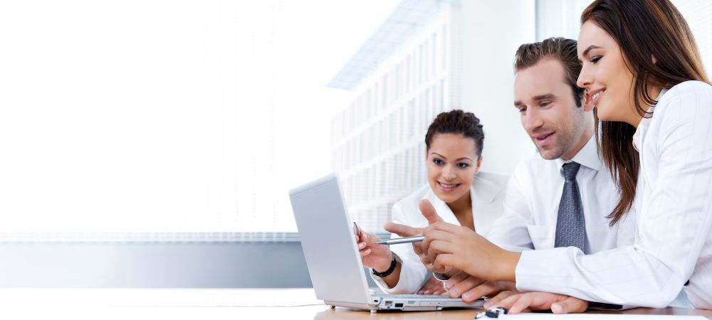 What is the role of a business consultant?